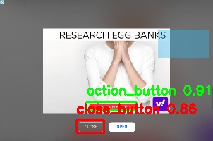 Detected image