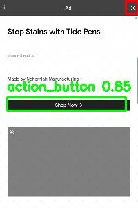 Detected image