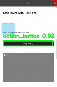 Detected image