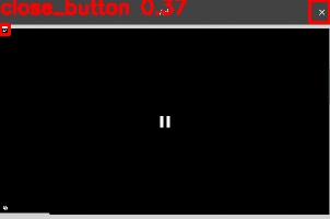 Detected image