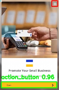 Detected image
