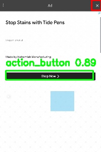 Detected image