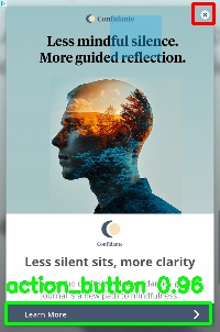 Detected image