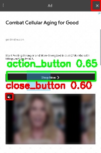 Detected image
