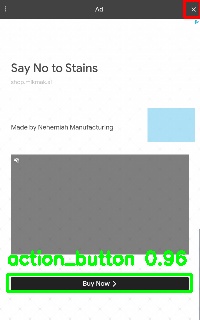 Detected image