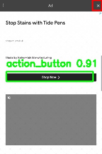 Detected image