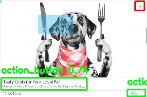 Detected image