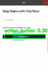 Detected image