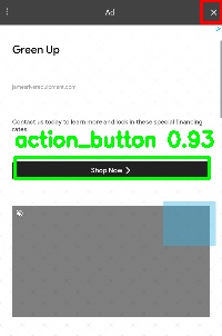 Detected image