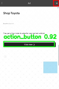 Detected image