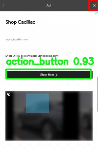 Detected image