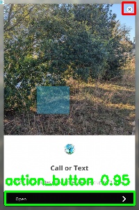 Detected image