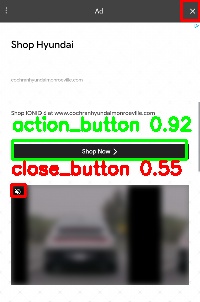 Detected image