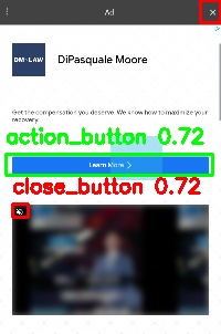Detected image