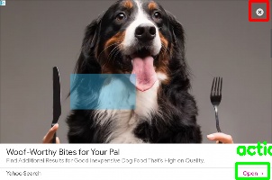 Detected image