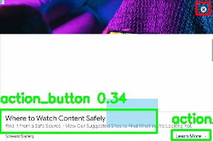 Detected image