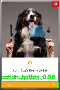 Detected image