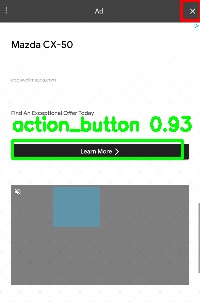 Detected image