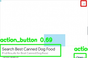 Detected image