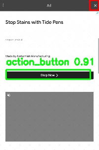 Detected image
