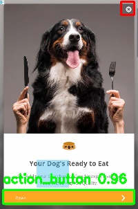 Detected image