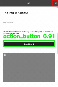Detected image