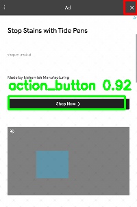 Detected image