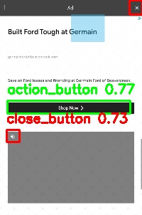 Detected image