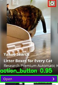 Detected image