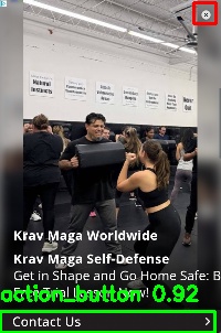 Detected image