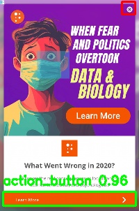 Detected image