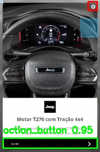 Detected image