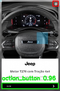 Detected image