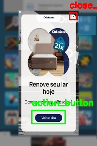 Detected image