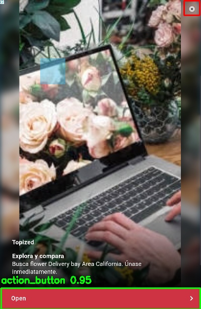 Detected image