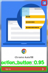 Detected image