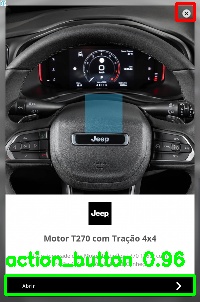 Detected image