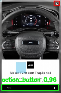 Detected image
