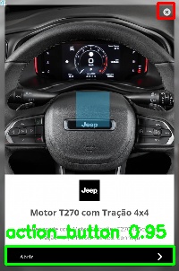 Detected image