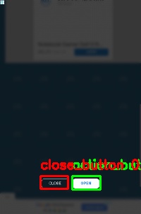 Detected image
