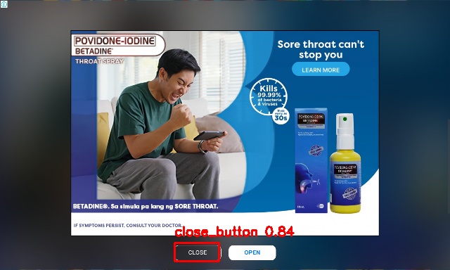 Detected image