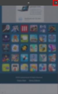 Detected image