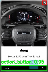 Detected image