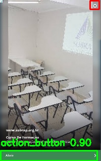 Detected image