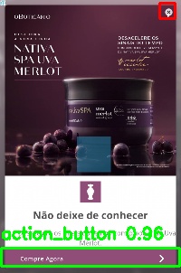 Detected image