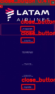 Detected image