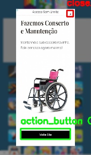 Detected image
