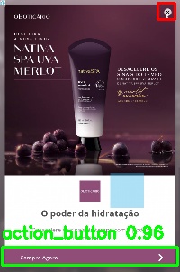 Detected image