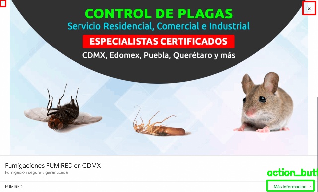 Detected image