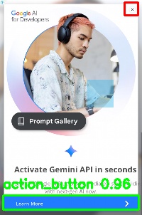 Detected image